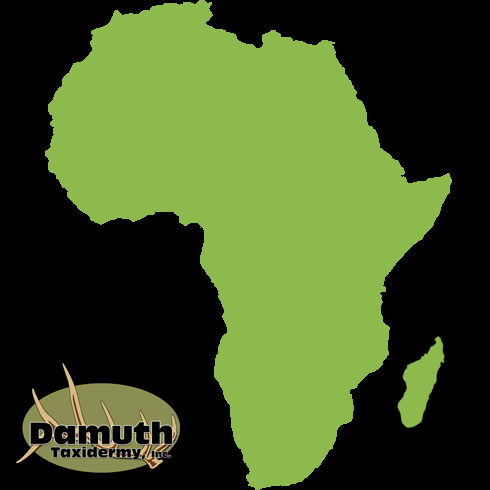Africa.png