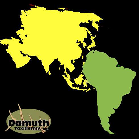 Asian-South-America.png