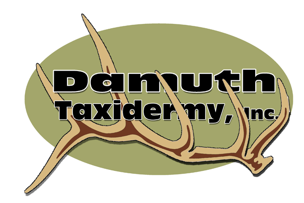 Damuth-Logo-Page.png.png